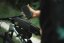 Bikepacking brašna Apidura Backcountry long top tube pack (1,8l)