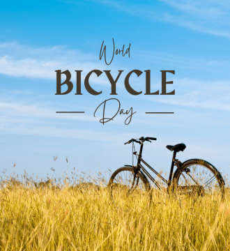 Bikepacking vybavení a komponenty na kolo
